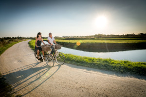 PISTE-CYCLABLE-DANS-LES-MARAIS