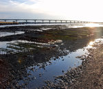 Marées sur l'Ile d'Oléron