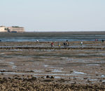 Pêche à pied au Château d'Oléron