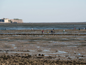 Pêche à pied au Château d'Oléron