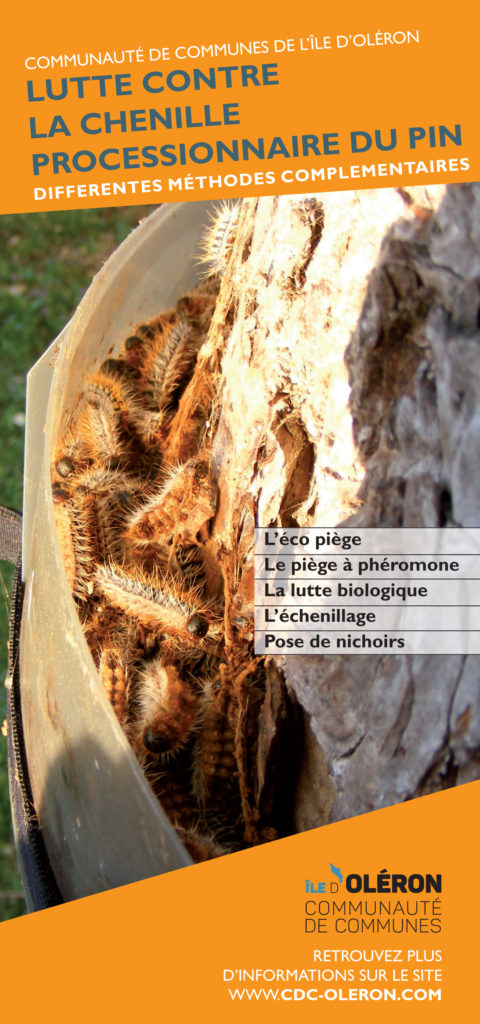 Lutte contre la chenille processionnaire du pin