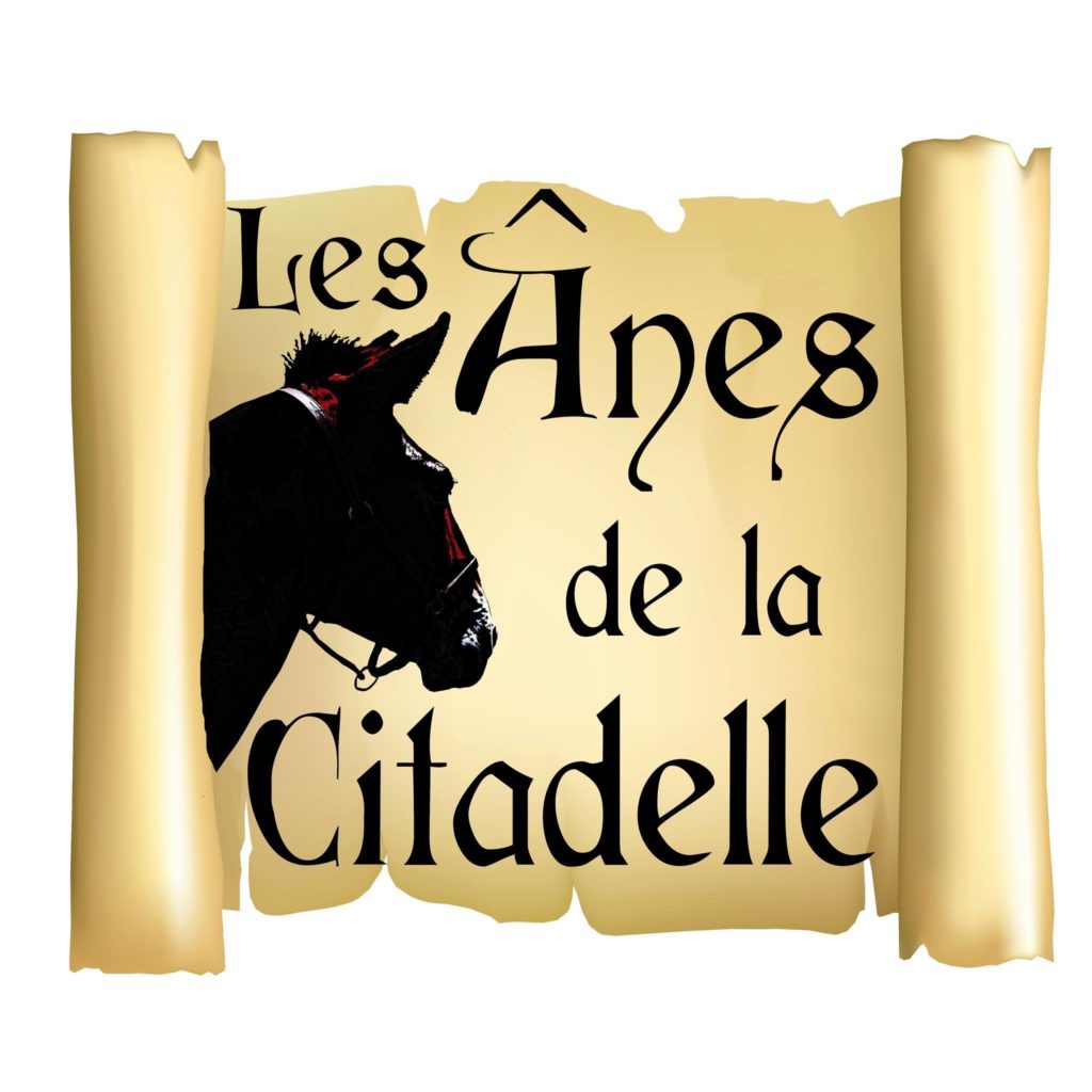 Les ânes de la Citadelle