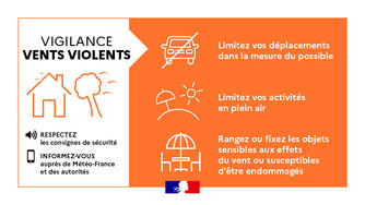 Du jeudi 8 janvier à 20h au vendredi 9 janvier à minuit - ALERTE MÉTÉO - VIGILANCE ORANGE VENTS VIOLENTS & VIGILANCE JAUNE ORAGES